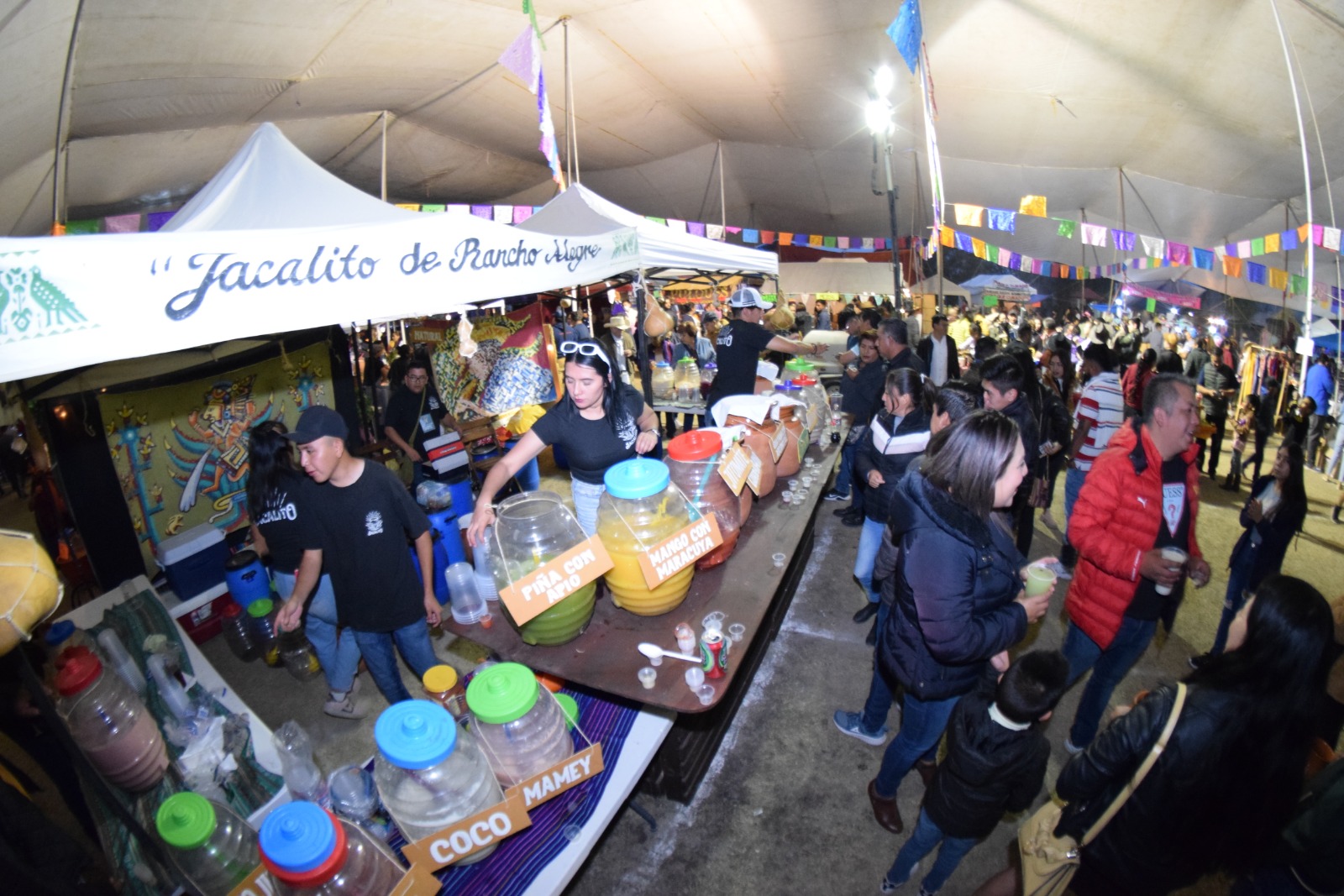 Festival Del Pulque Importante Aparador Para Productores Del Ramo